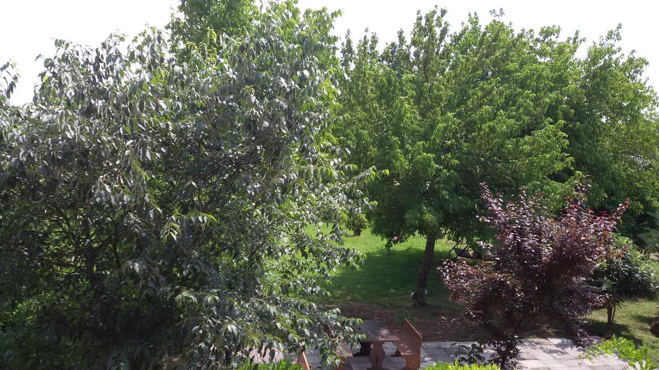 Agriturismo La Pace Villa Valeggio sul Mincio Eksteriør billede